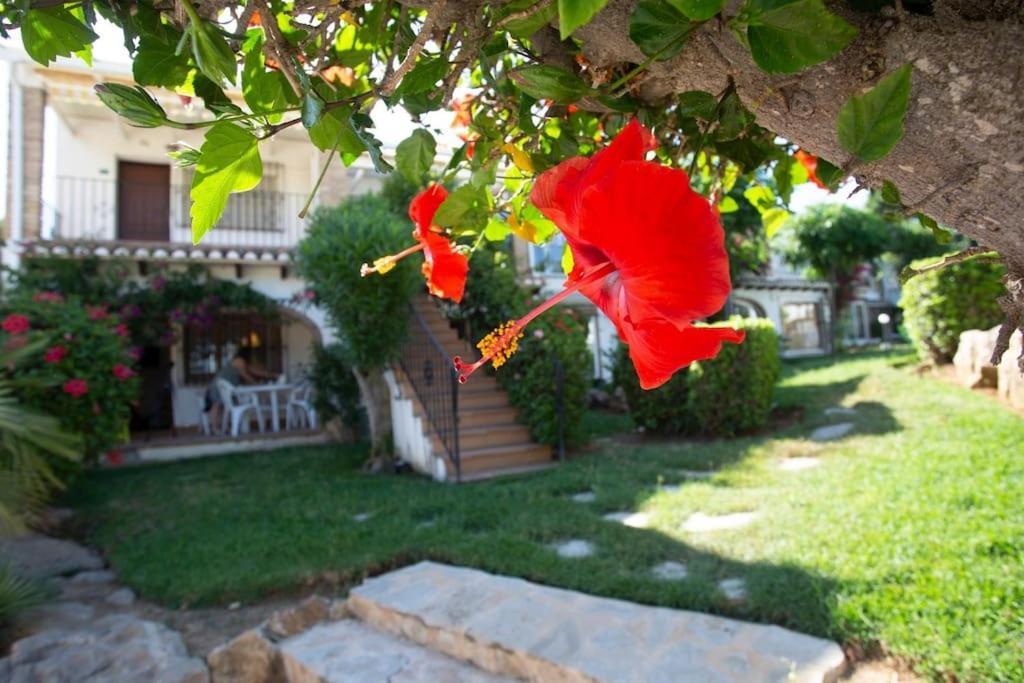 Casa En Denia Con Piscina Y Jardin Apartment ภายนอก รูปภาพ
